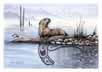 River otter